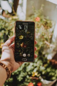 A Hand holding a cell phone against a blurred floral background.